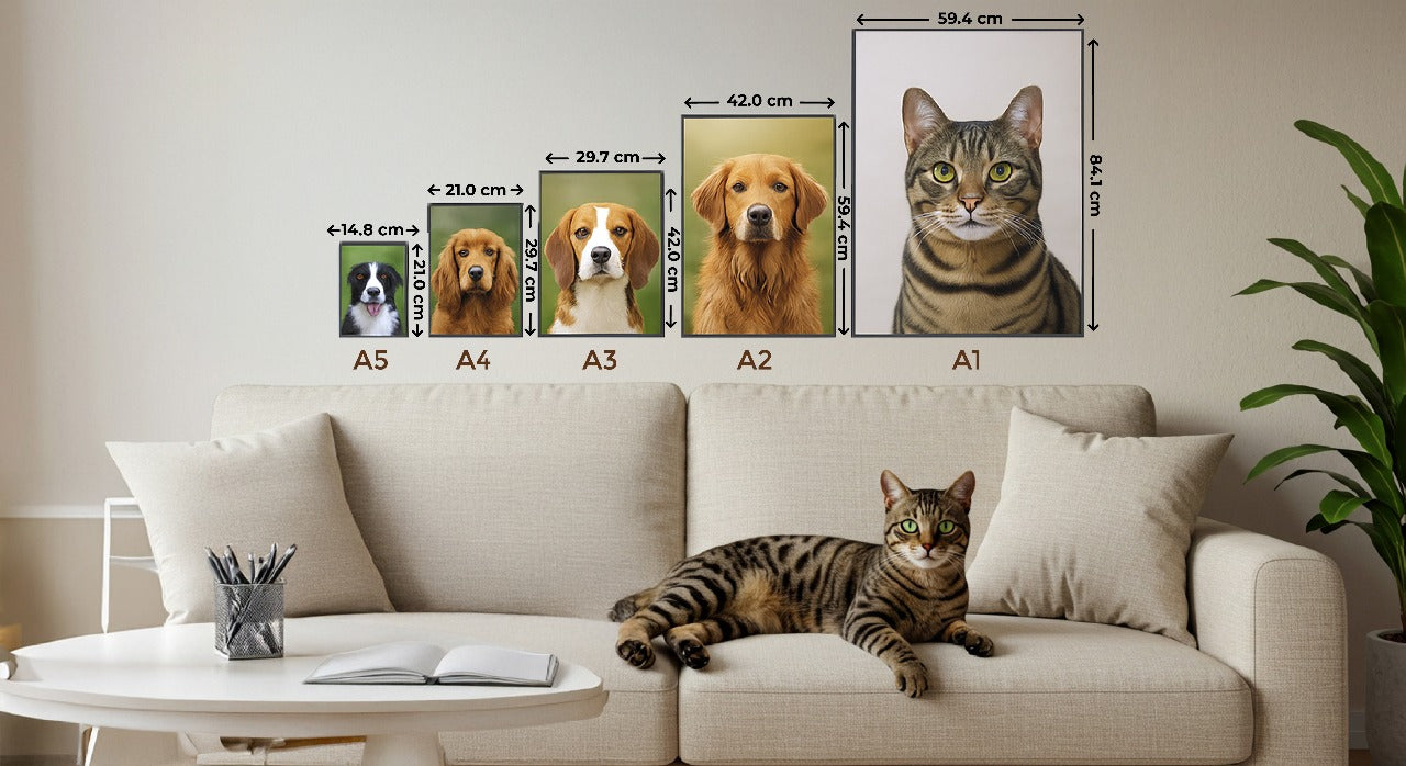 Pet Toons
